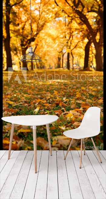 Bild på Central Park Autumn